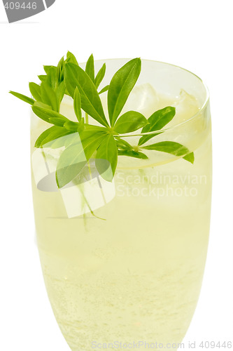 Image of Wine with herbs