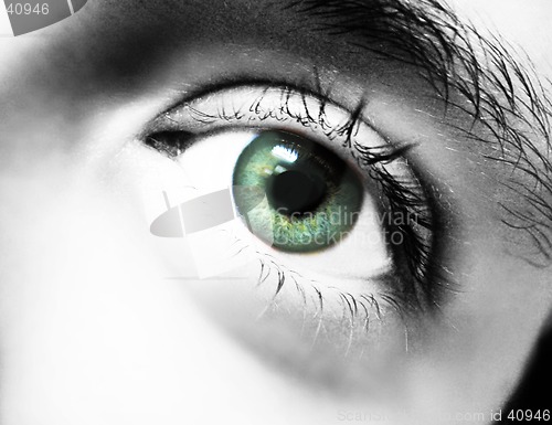 Image of eye