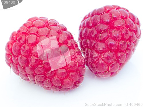 Image of Raspberries