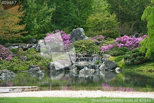 Image of Flowering Japanese garden