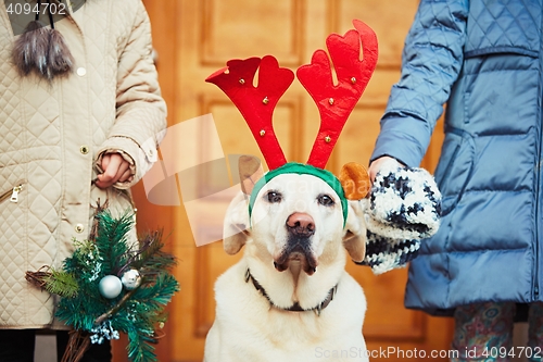 Image of Christmas walk with dog