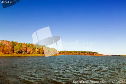 Image of The autumn wood on the bank of the big beautiful lake