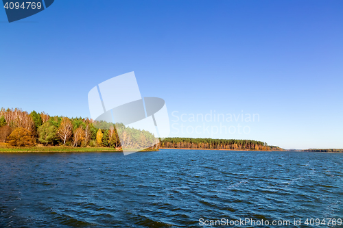 Image of The autumn wood on the bank of the big beautiful lake