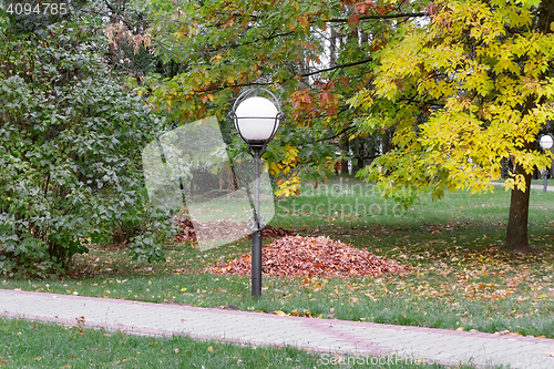 Image of Autumn landscape: autumn in the Park.