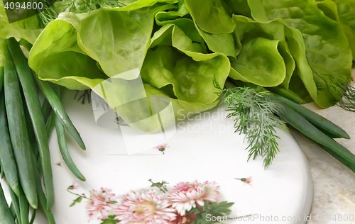 Image of Vegetables: green onions, lettuce and dill