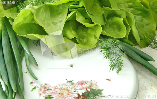 Image of Vegetables: green onions, lettuce and dill