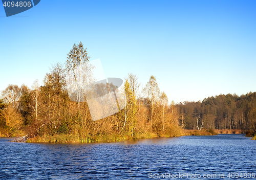 Image of The autumn wood on the bank of the big beautiful lake