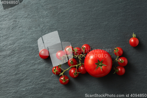 Image of Tomatoes bunch on a black background