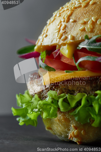 Image of Close-up of home made tasty burger