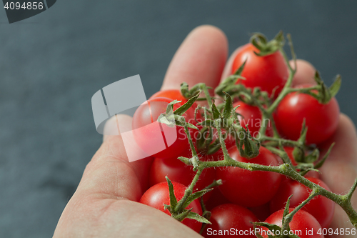 Image of Red cherry tomatoes in a man\'s hand