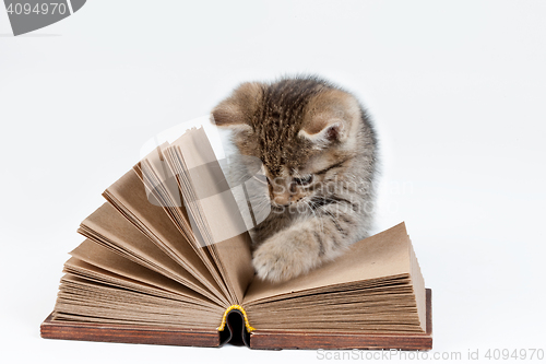 Image of Little Kitten And Book