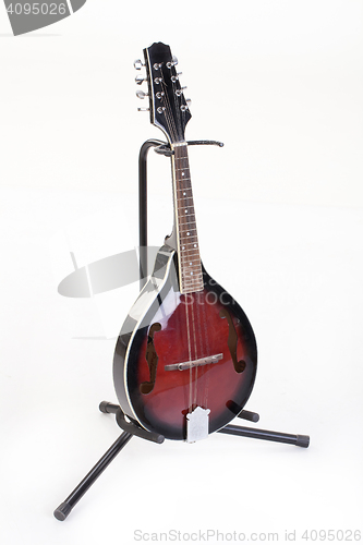 Image of Mandolin