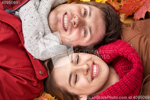 Image of close up of smiling couple lying on autumn leaves