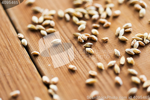 Image of close up of malt or cereal grains