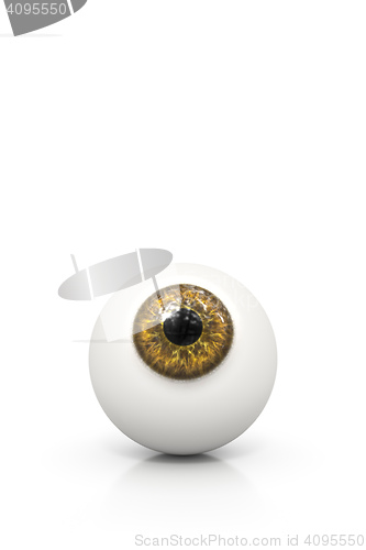 Image of brown eyeball