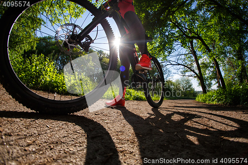 Image of Young woman having fun riding a bicycle in the park.