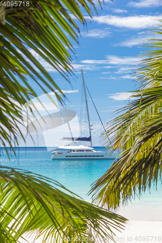 Image of Catamaran sailing boat seen trough palm tree leaves on beach, Seychelles.