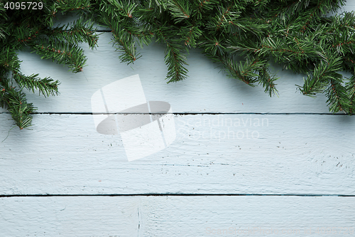 Image of Spruce branches on light wooden board background with copy space