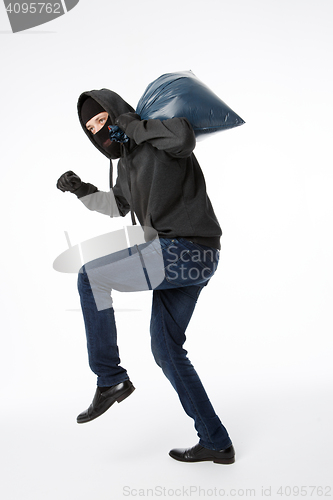 Image of Thief slinking with blue bag