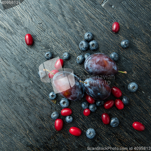 Image of Blueberry, plum and dogwood