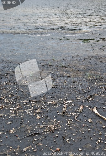 Image of beach pollution