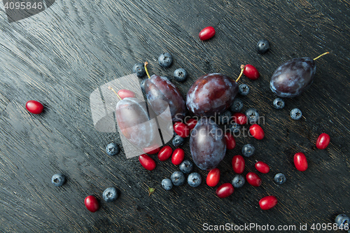 Image of Blueberry, plum and dogwood