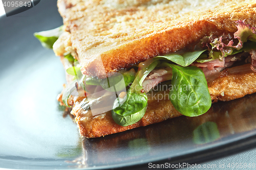 Image of Fresh toasted panini blt sandwich