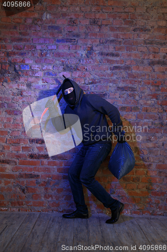 Image of Rogue near wall with sack