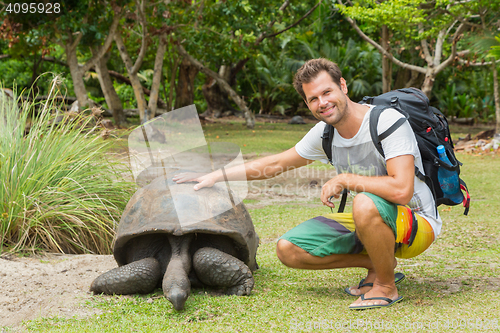 Image of Tourist feeding Aldabra giant tortoises on Curieuse island, Seychelles.