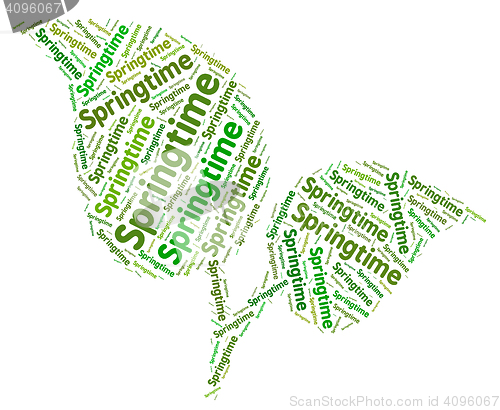 Image of Springtime Word Shows Text Springtide And Warmth