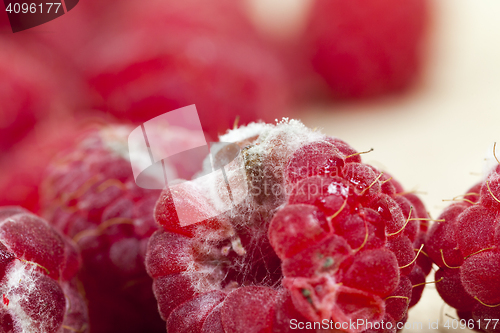 Image of mold on the raspberries