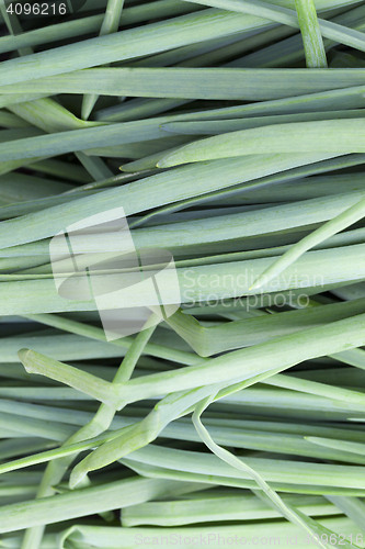 Image of green feathers bow