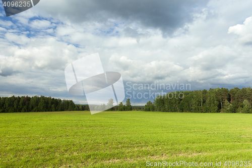 Image of Field with cereal