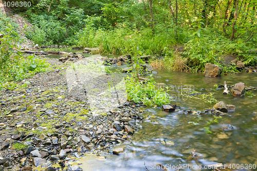 Image of Rocky shore in a small forest stream