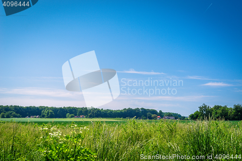 Image of Summer landscape with rural fields