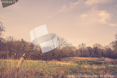 Image of Old fence post on a field