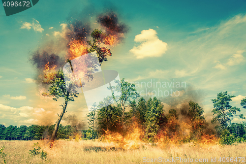 Image of Tree on fire on a dry field