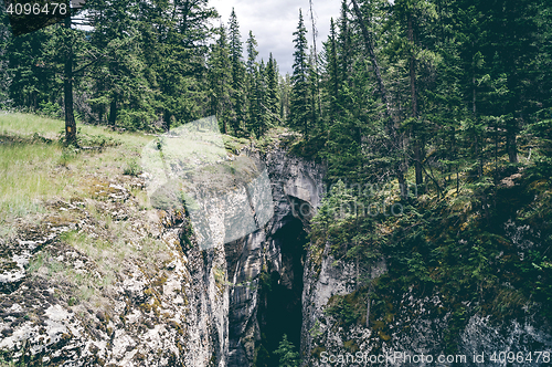 Image of Large cave in a pine tree forest