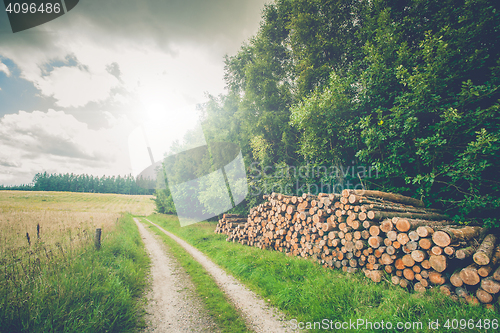 Image of Rural scenery with wooden logs