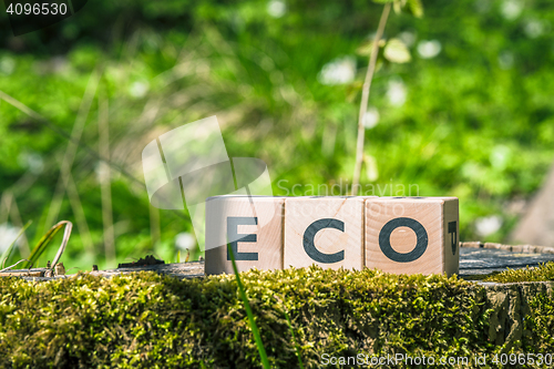 Image of Eco sign in a green forest