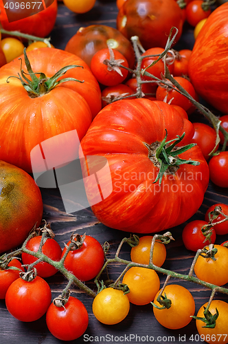 Image of 