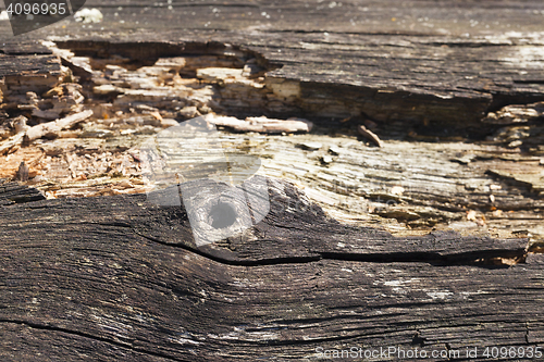 Image of rotten wooden surface, close-up