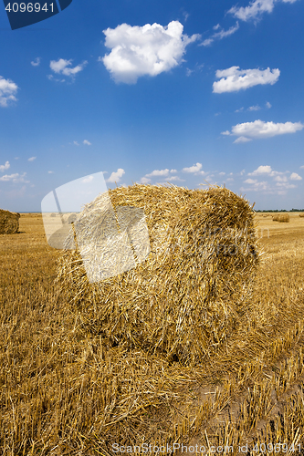 Image of Stack of straw