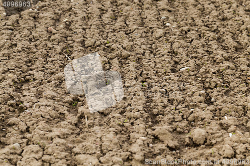 Image of plowed agricultural field