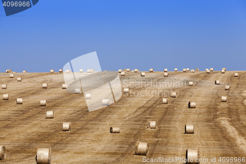 Image of stack of straw in the field