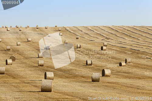 Image of stack of straw in the field