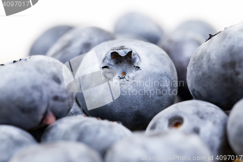 Image of ripe berries blueberry