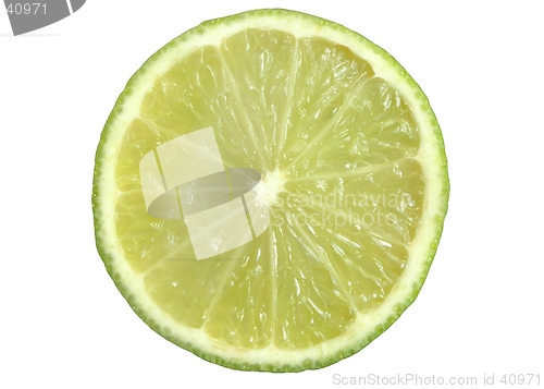 Image of Lime