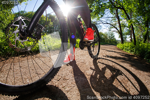 Image of Young woman having fun riding a bicycle in the park.