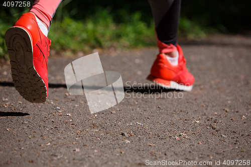 Image of young fitness woman hiker legs at forest trail